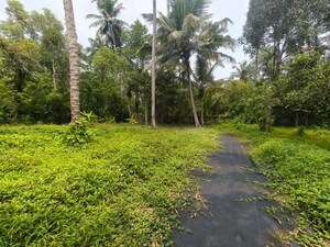  Plot – Garden View at Tripunithura - for Sale