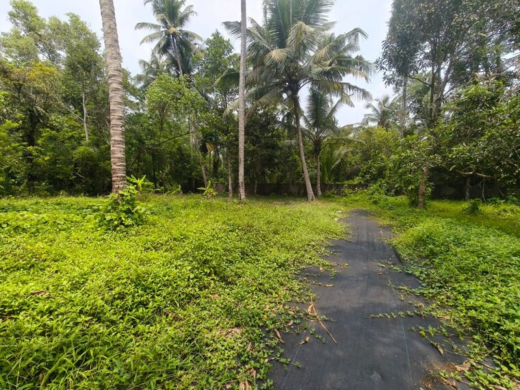 Garden, tripunithura  10892 Sq.Ft. Plot In Tripunithura Kochi 10137212