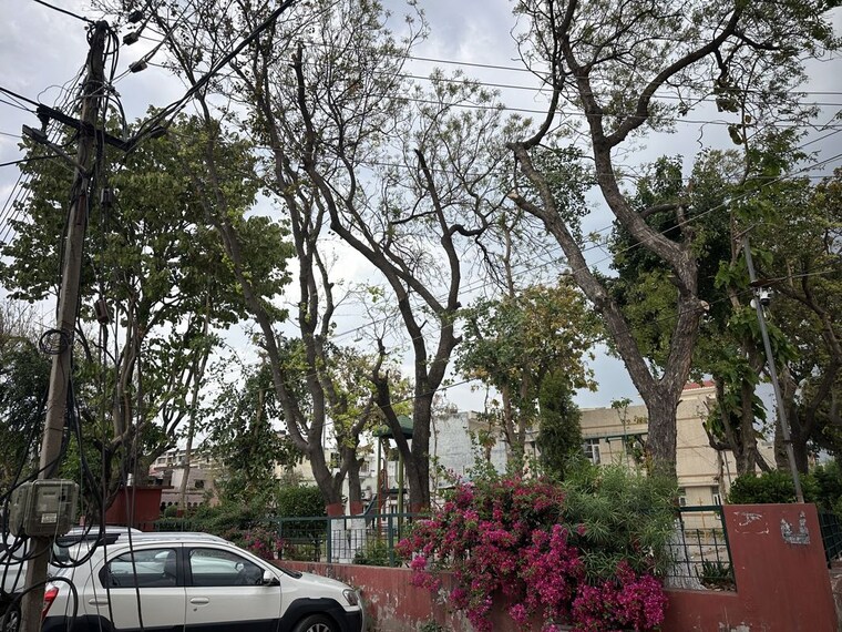 Garden, sector 10 5 Bedroom 250 Sq.Yd. Independent House In Sector 10 Panchkula 10137333