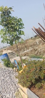 200 Sq.Yd. Plot in Julkal