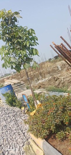 Plot For Sale in Julkal