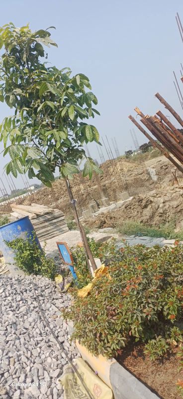 Plot For Sale in Julkal