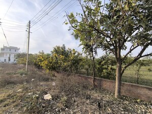 Plot Area in  Plot at Pataudi – for Sale
