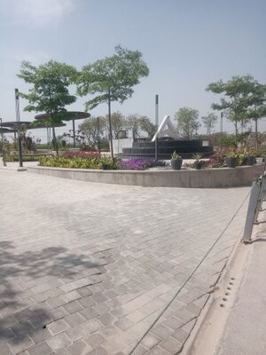  Land For Sale in Paras Arcade 114, Sector 114