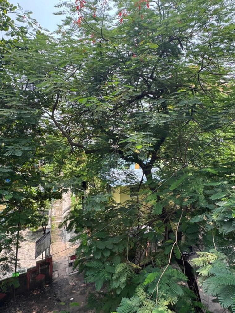 Exterior View, dombivli east 2 Bedroom 900 Sq.Ft. Apartment In Dombivli East Thane 10137532