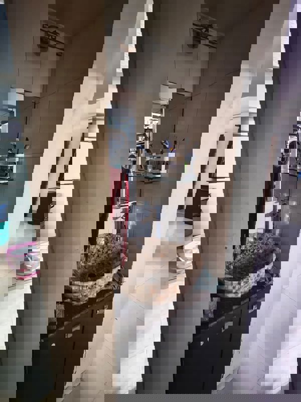 2 BHK + Pooja Room 750 Sq.Ft. Apartment in Vijay Enclave