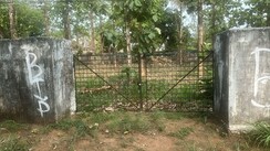 Plot For Sale in Nadathara