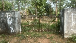  Plot For Sale in Nadathara
