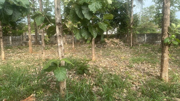 undefined, nadathara  7840 Sq.Ft. Plot In Nadathara Thrissur 10136083