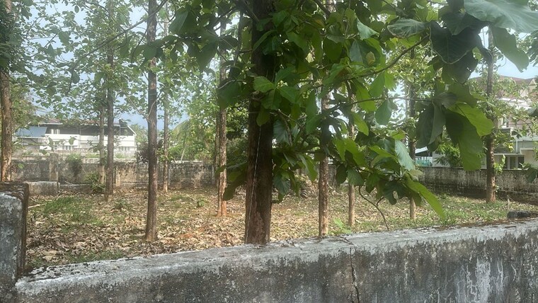 Garden, nadathara  7840 Sq.Ft. Plot In Nadathara Thrissur 10136083