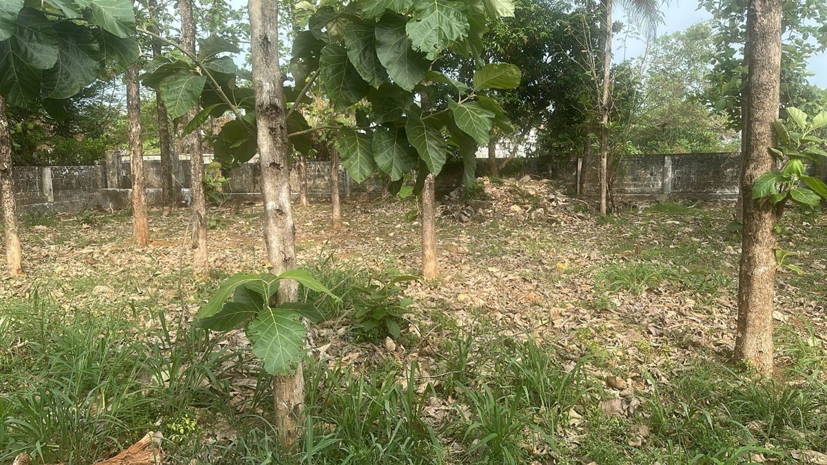 Plot For Sale in Nadathara