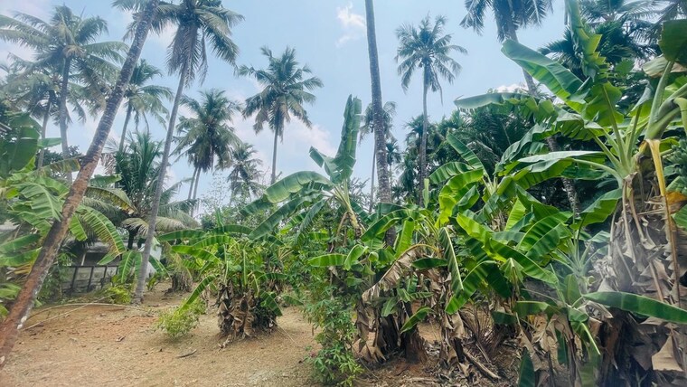 undefined, chiyyaram  7405 Sq.Ft. Plot In Chiyyaram Thrissur 10137815