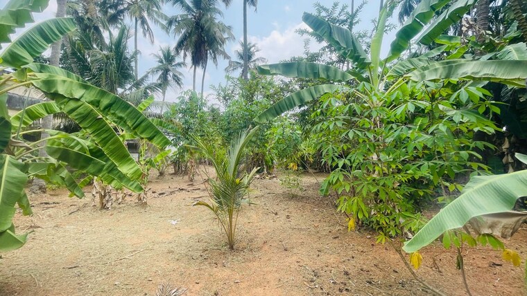undefined, chiyyaram  7405 Sq.Ft. Plot In Chiyyaram Thrissur 10137815