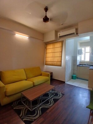 Living Room in 1 BHK Apartment at Paras Tierea, Sector 137 – for Rent