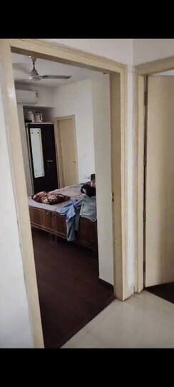 3 BHK Apartment For Rent in SS The Coralwood