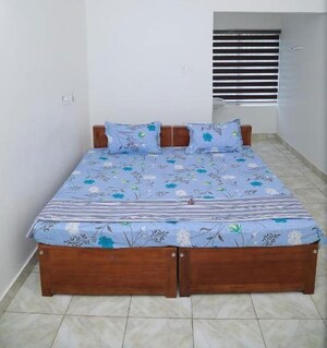  Pg For Rent in Gomti Nagar