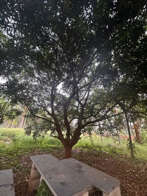  Plot – Garden View at Sohna Sector 17 - for Sale