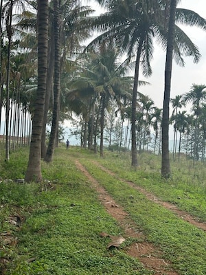  Plot – Garden View at Sohna Sector 17 - for Sale