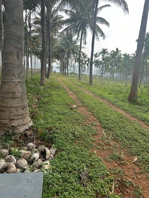  Plot For Sale in Sohna Sector 17