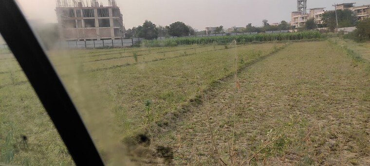 undefined, mullanpur  200 Sq.Yd. Plot In Mullanpur Chandigarh 10116412