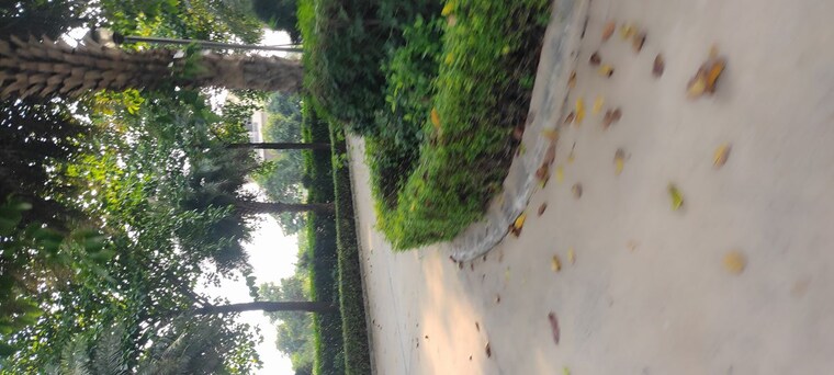Garden, mullanpur  200 Sq.Yd. Plot In Mullanpur Chandigarh 10116412
