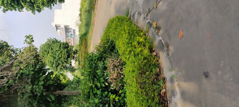Garden, mullanpur  200 Sq.Yd. Plot In Mullanpur Chandigarh 10116412