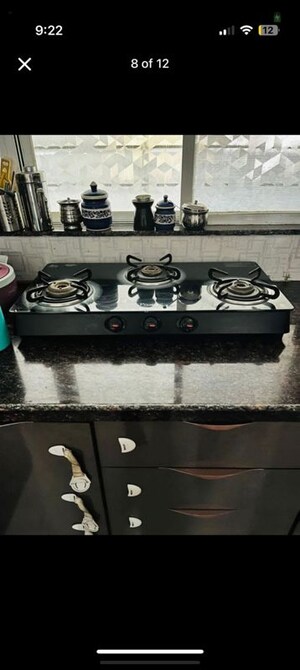 1 BHK Apartment For Rent in Essen Shonest Towers, Wakad