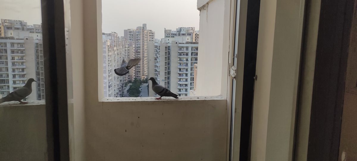 2 BHK Apartment For Rent in Supertech Ecociti