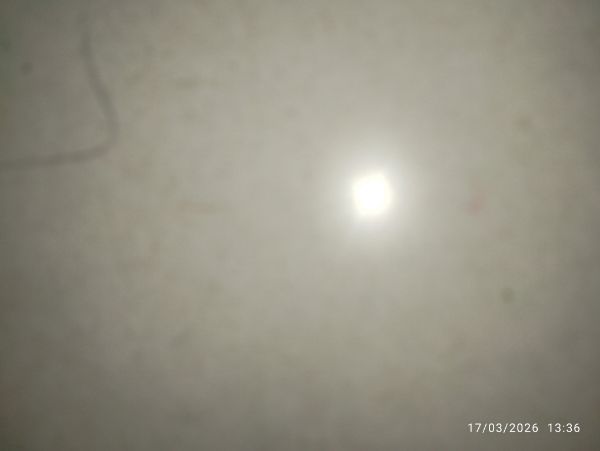 3 BHK + Pooja Room 1465 Sq.Ft. Apartment in Divine Space Osman Nagar