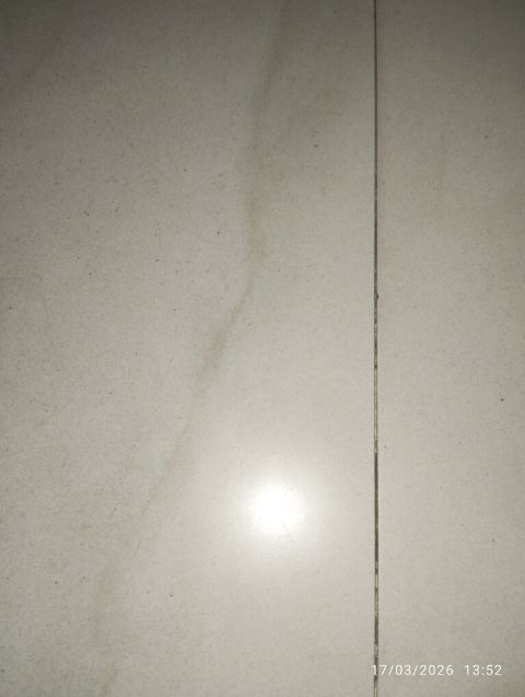 4 BHK + Pooja Room 4070 Sq.Ft. Apartment in My Home Bhooja