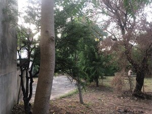 4 BHK Villa – Garden View at Felicity Malhotras Select Homes, Sirsi Road - for Rent