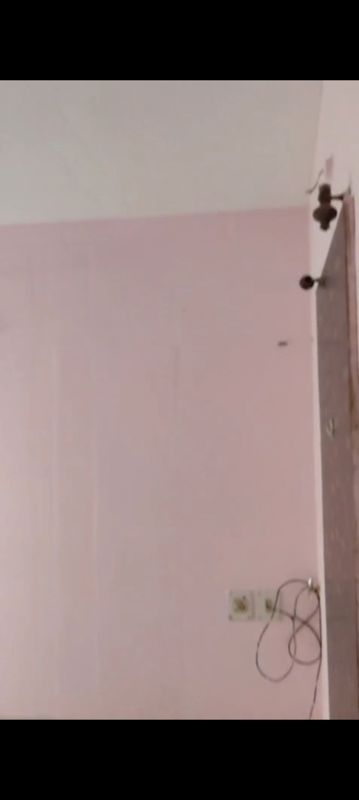 1 BHK 400 Sq.Ft. Apartment in Spaghetti Complex