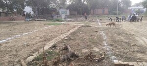 Plot Area in  Plot at Bhullanpur – for Sale