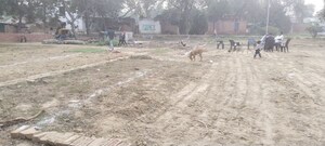  Plot For Sale in Bhullanpur