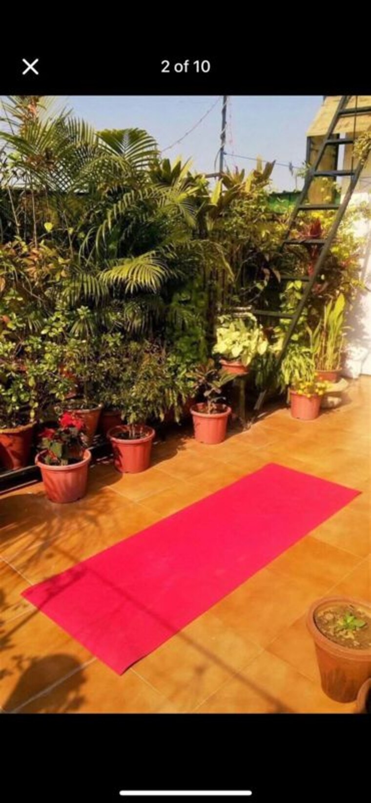 Garden, chittaranjan park 1 Bedroom 700 Sq.Ft. Builder Floor In Chittaranjan Park Delhi 10138923