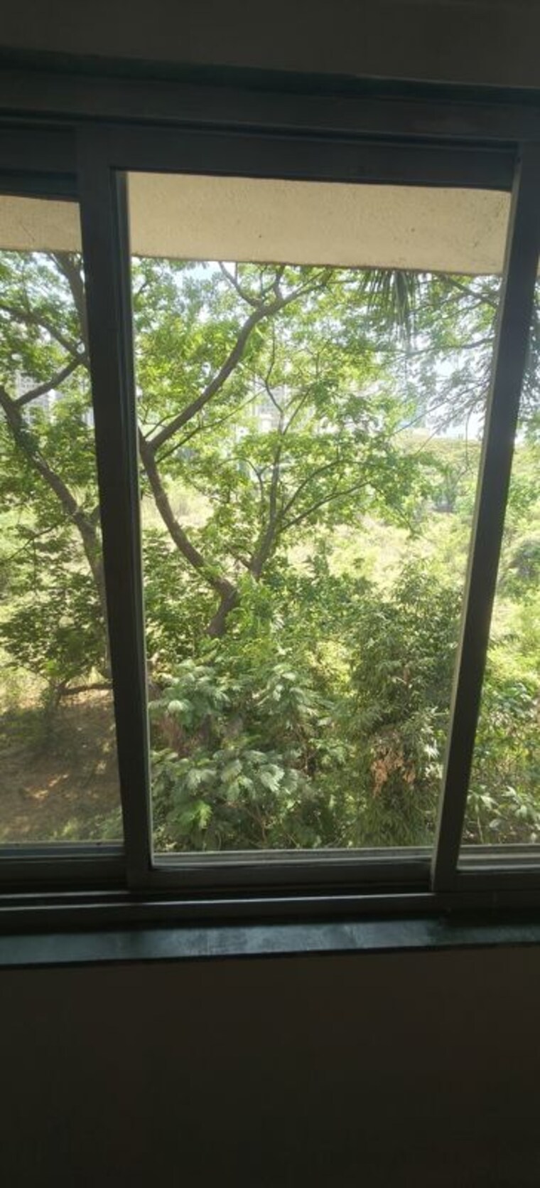 Garden, haridwar-apartments 1 Bedroom 380 Sq.Ft. Apartment In Evershine Nagar Mumbai 10138996