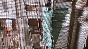 1 BHK Builder Floor – Exterior View View at Mehrauli - for Rent