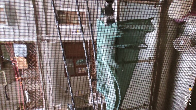 Exterior View, mehrauli 1 Bedroom 550 Sq.Ft. Builder Floor In Mehrauli Delhi 10139453