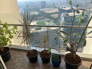 Balcony in 3 BHK Apartment at Omkar Alta Monte, Malad East – for Sale