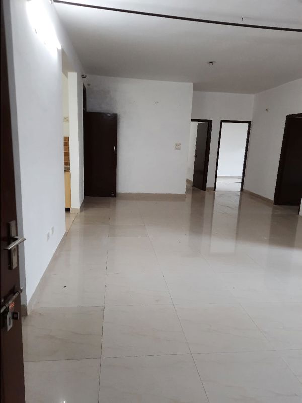 3 BHK + Pooja Room,Servant Room Builder Floor For Rent in Sector 126