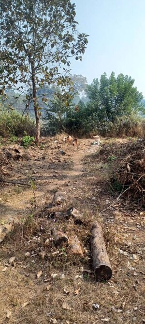 Plot Area in  Plot at Milroc Colina, Goa Velha – for Sale