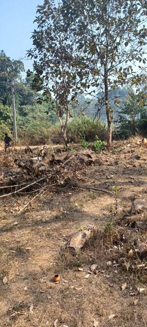  Plot For Sale in Milroc Colina, Goa Velha