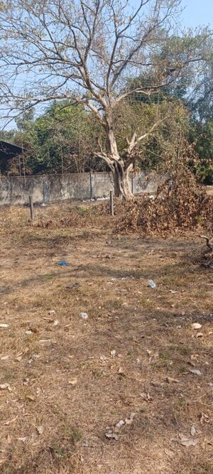 Plot Area in  Plot at Milroc Colina, Goa Velha – for Sale