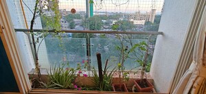 Terrace in 4 BHK Apartment at Parel – for Sale