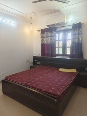 1 BHK Apartment For Rent in Sarita Vihar