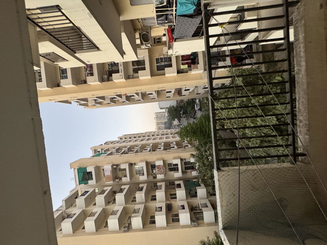 2 BHK + Pooja Room,Study Room,Extra Room,Basement,Store Room Apartment For Rent in GLS Arawali Homes