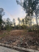 2 Acre Plot in Palm Residency Chhatarpur