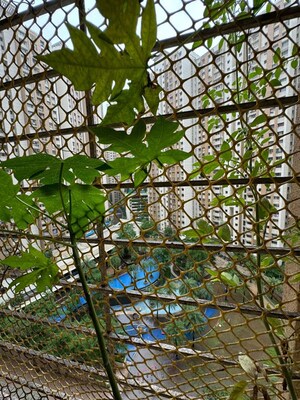 Balcony in 2.5 BHK Builder Floor at Thane East – for Rent