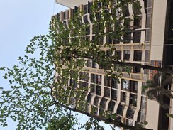 3 BHK Apartment For Rent in Trishul Gold Coast