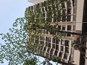 3 BHK Apartment For Rent in Trishul Gold Coast, Ghansoli